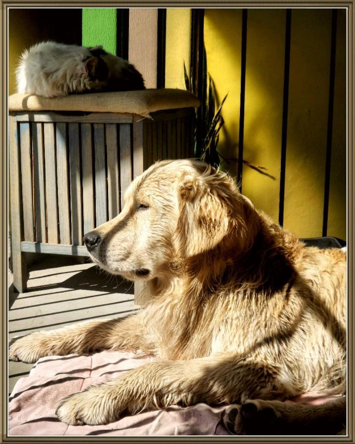 Cuntro' Granda Bed & Breakfast Boves Exterior foto